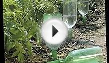 Используйте пластиковые бутылки в огороде! Поделки для дачи